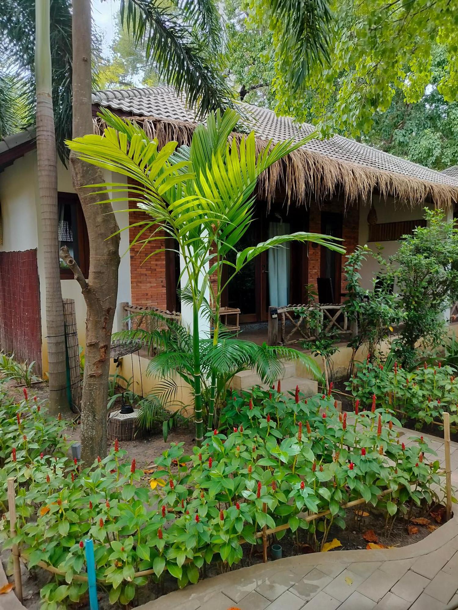 La Riviere D' Angkor Resort Сиемрип Экстерьер фото