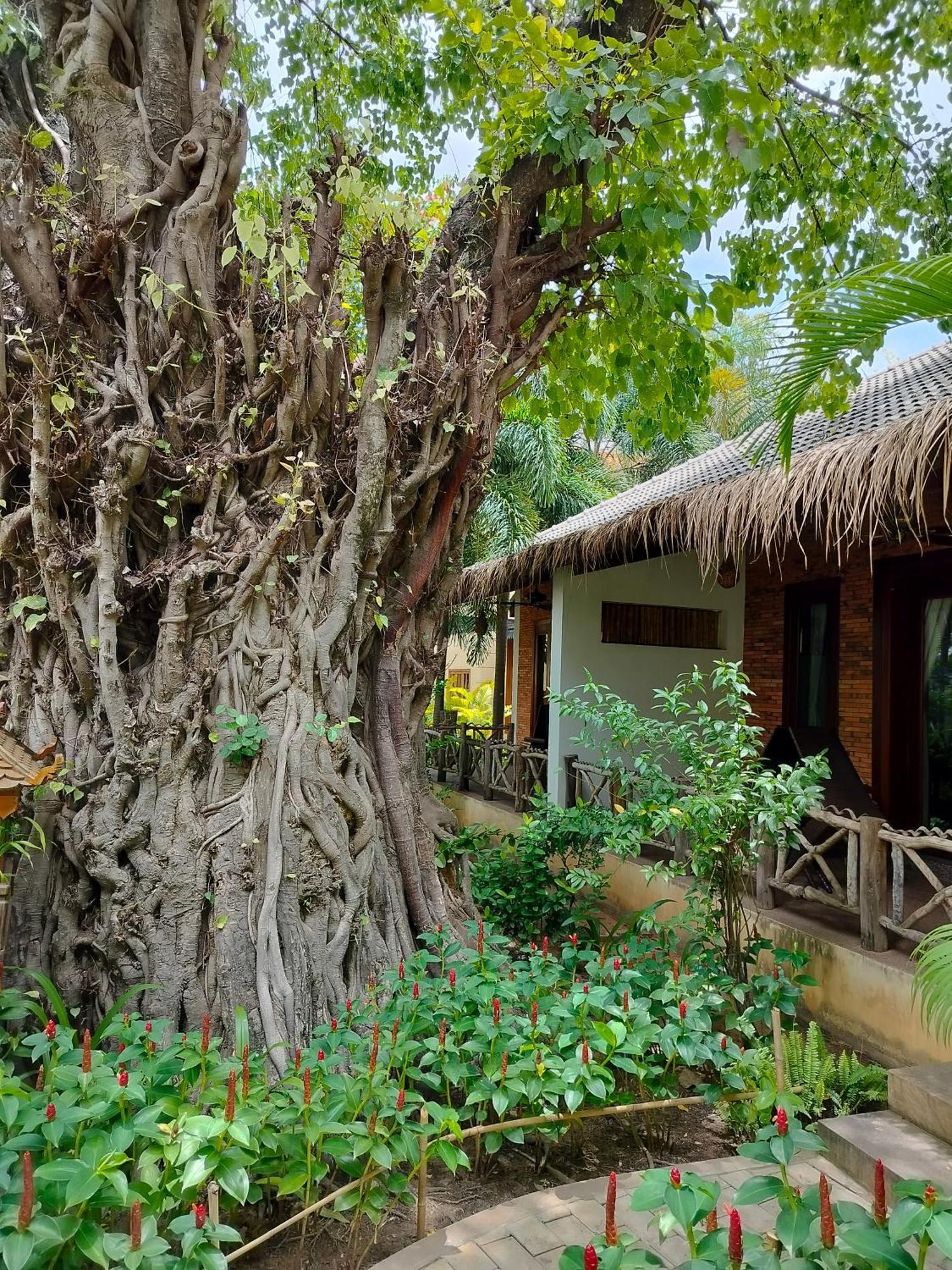 La Riviere D' Angkor Resort Сиемрип Экстерьер фото